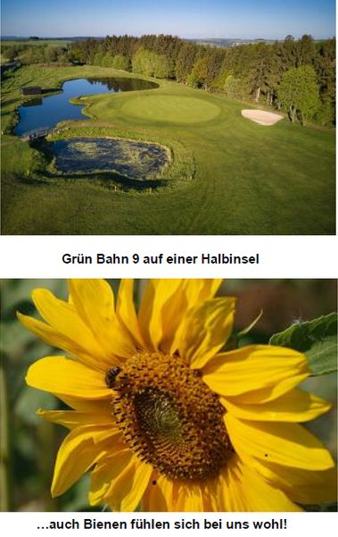 Screenshot_2023-01-11_at_15-52-44_Golfen_wo_die_Eifel_am_schönsten_ist.jpg